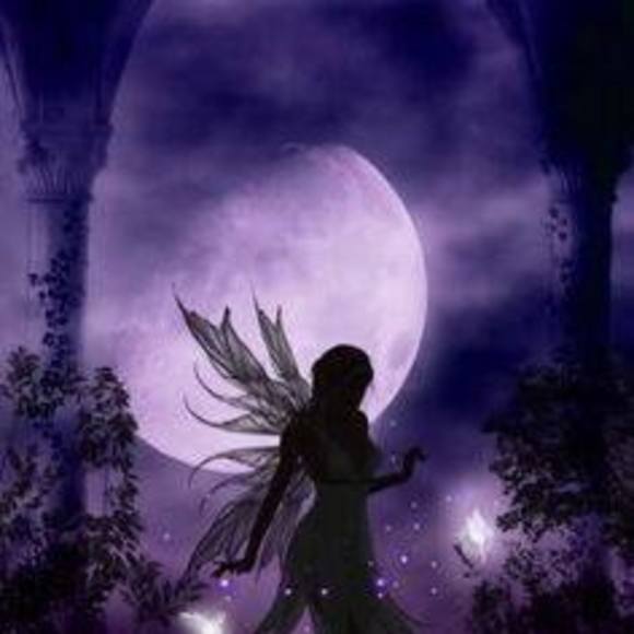 Meet your Posher, Sandy - Picture 1 of 1